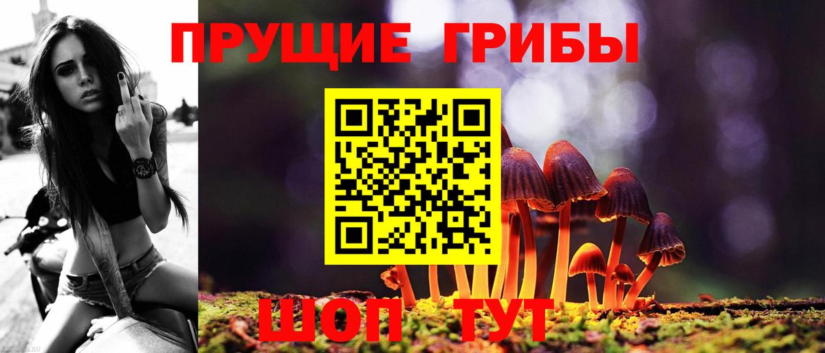 Галлюциногенные грибы Psilocybe Мегион